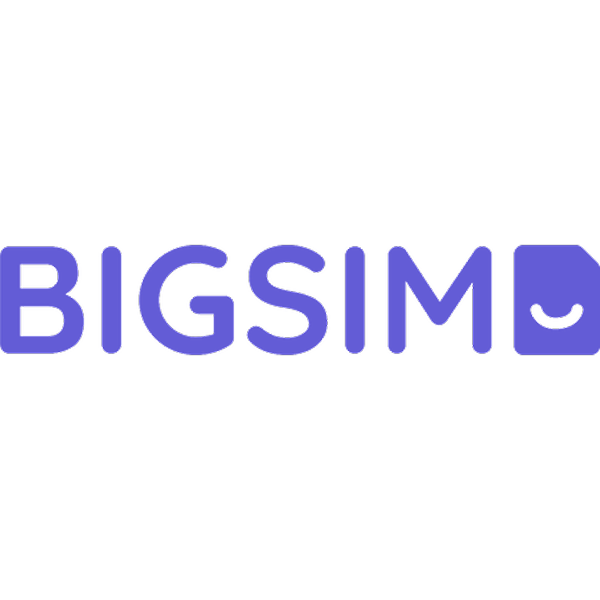 BIGSIM Logo