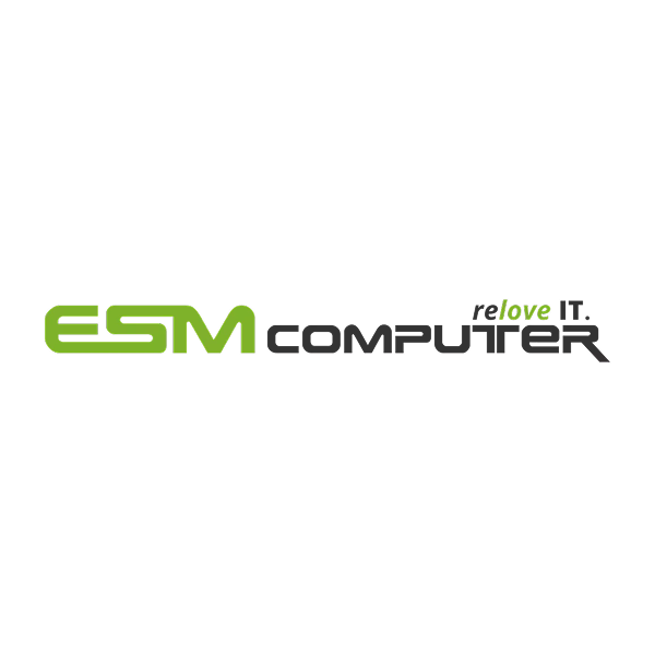 ESM Computer Logo