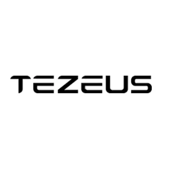 Tezeus Bike Logo
